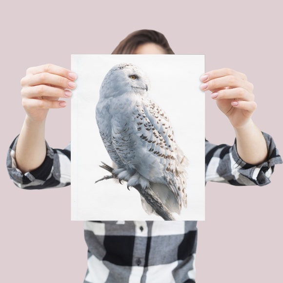 Watercolor Snowy Owl Portrait Wall Art Print, Unframed - Mystic Winter Grace - Picture 4 of 6